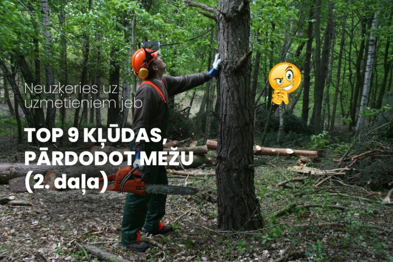 9 padomi meža pārdošanai