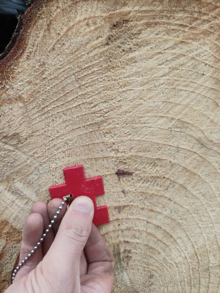 Galvenās cirtes vecuma pazemināšana – par un pret