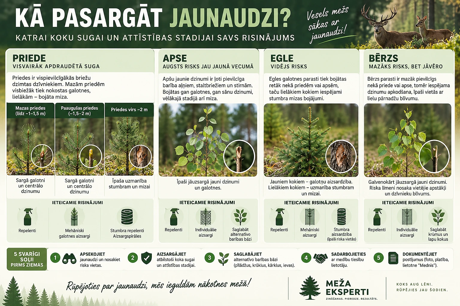Kā pasargāt jaunaudzi - infografika